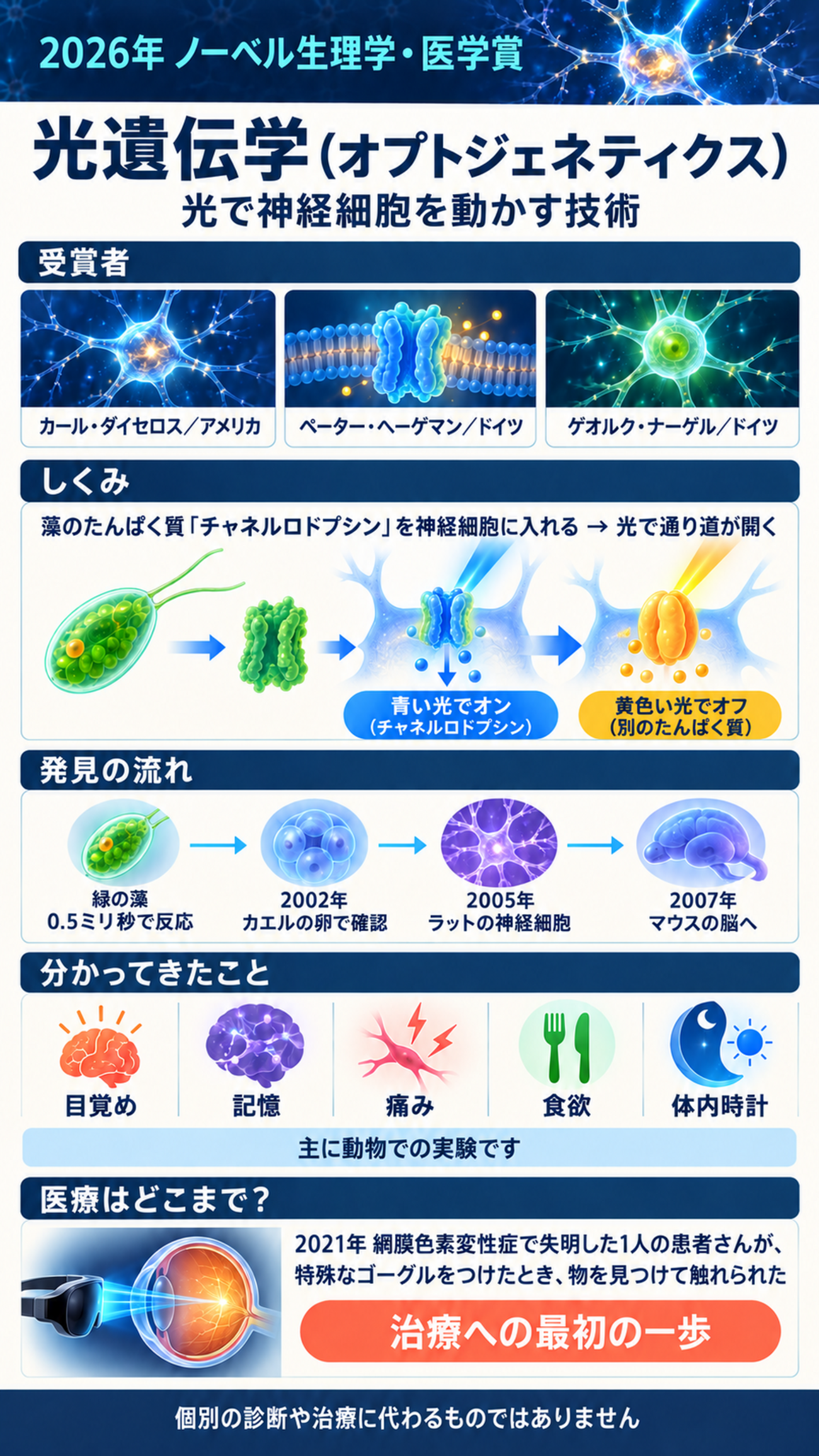 2026年ノーベル生理学・医学賞「光遺伝学」とは？ 光で神経細胞を