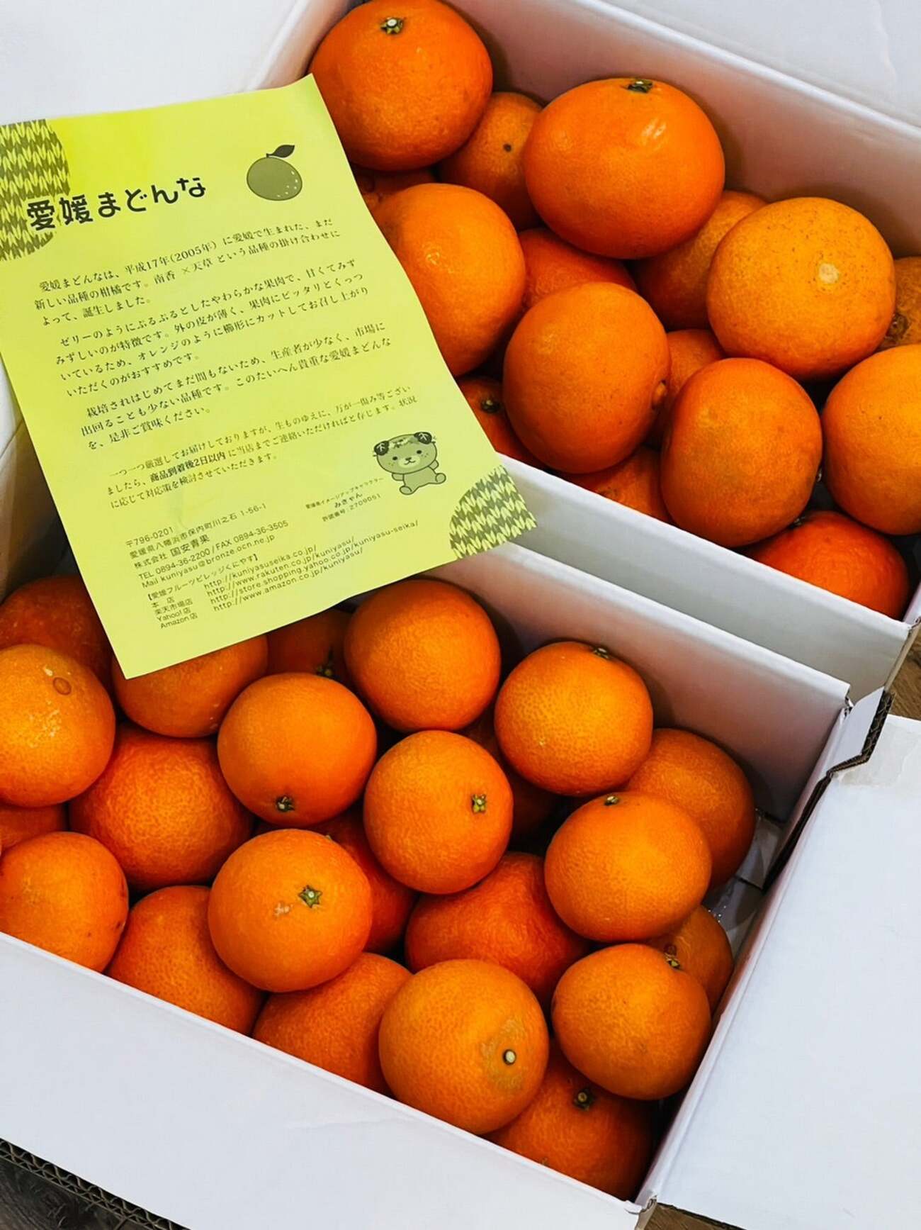 愛媛県産 愛果28号 柑橘 15kg (セール】福袋/福箱ファッション 愛媛県産 愛果28号 柑橘 15kg (セール】福袋/福箱ファッション