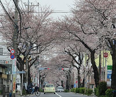 大泉学園町とは 地理の人気 最新記事を集めました はてな