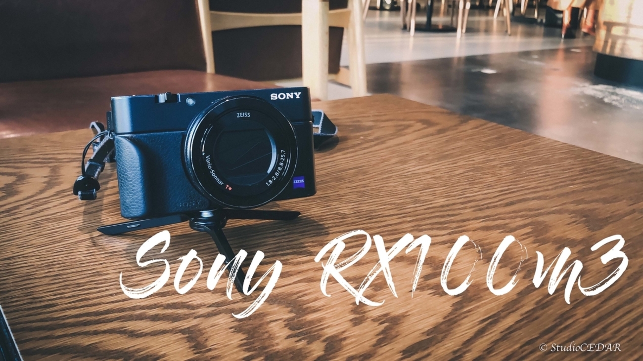 写真を撮るならSONY RX100m3は今でも現役カメラ！【2026年版】 - 『す 