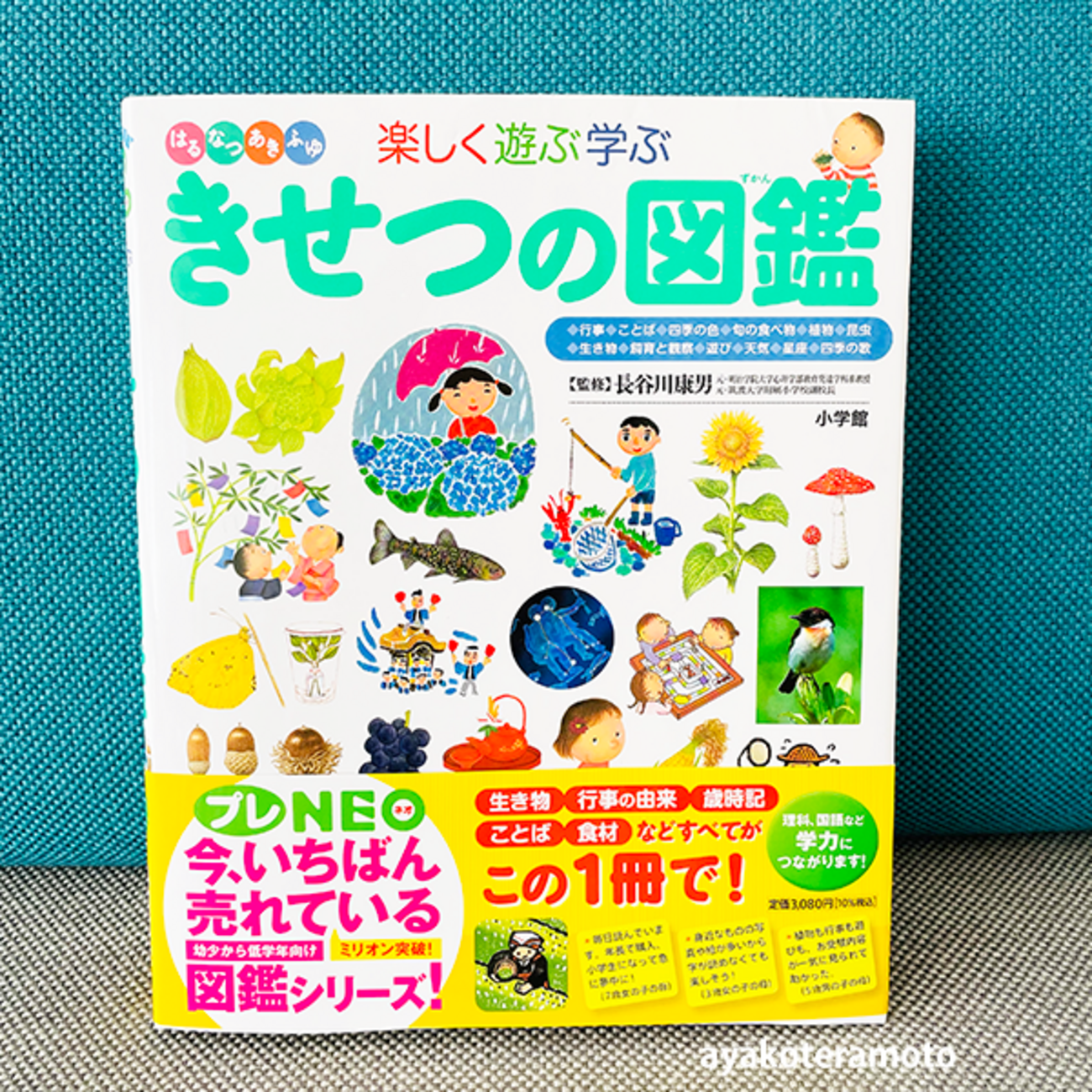 backend=imagemagick;version=1;