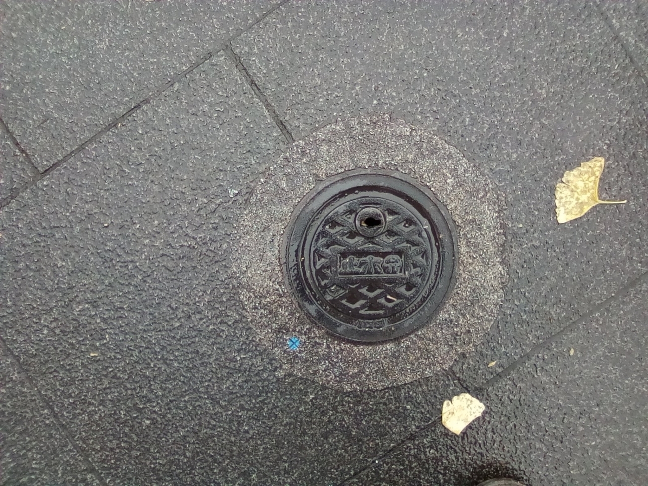 マンホールの蓋 欧州 ロンドン パリ HOLECOVERS パルメット backend=imagemagick;version=1;