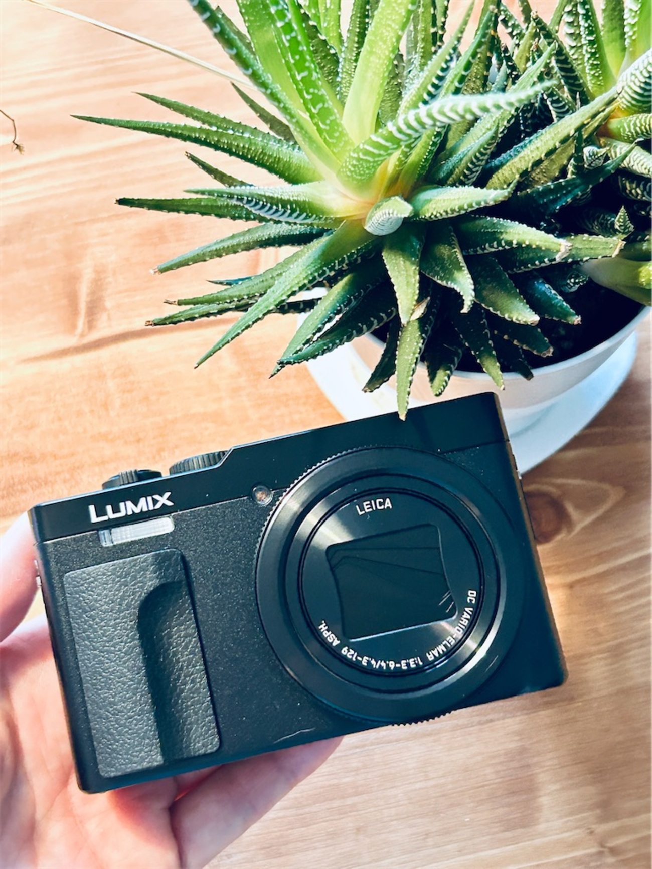 予約→約1ヶ月待ち→我が家にLUMIX-TZ99がやってきた - 宇宙のカケラ 