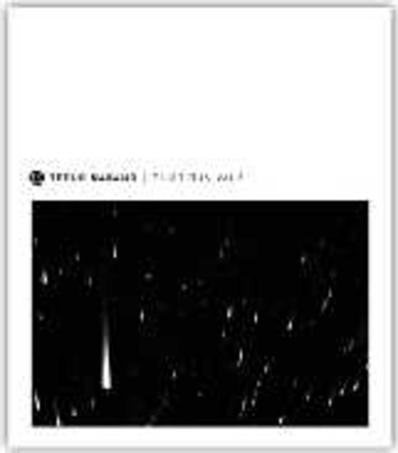 backend=imagemagick;version=1;
