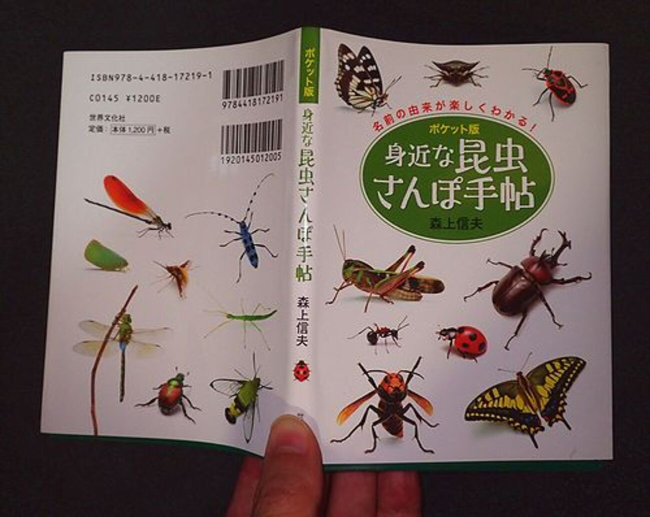 森上信夫さんの「身近な昆虫さんぽ手帖」 - 虫撮る人々
