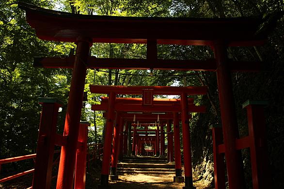 稲荷神社とは 一般の人気 最新記事を集めました はてな