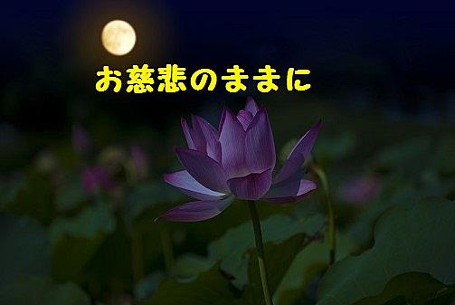 お慈悲のままに