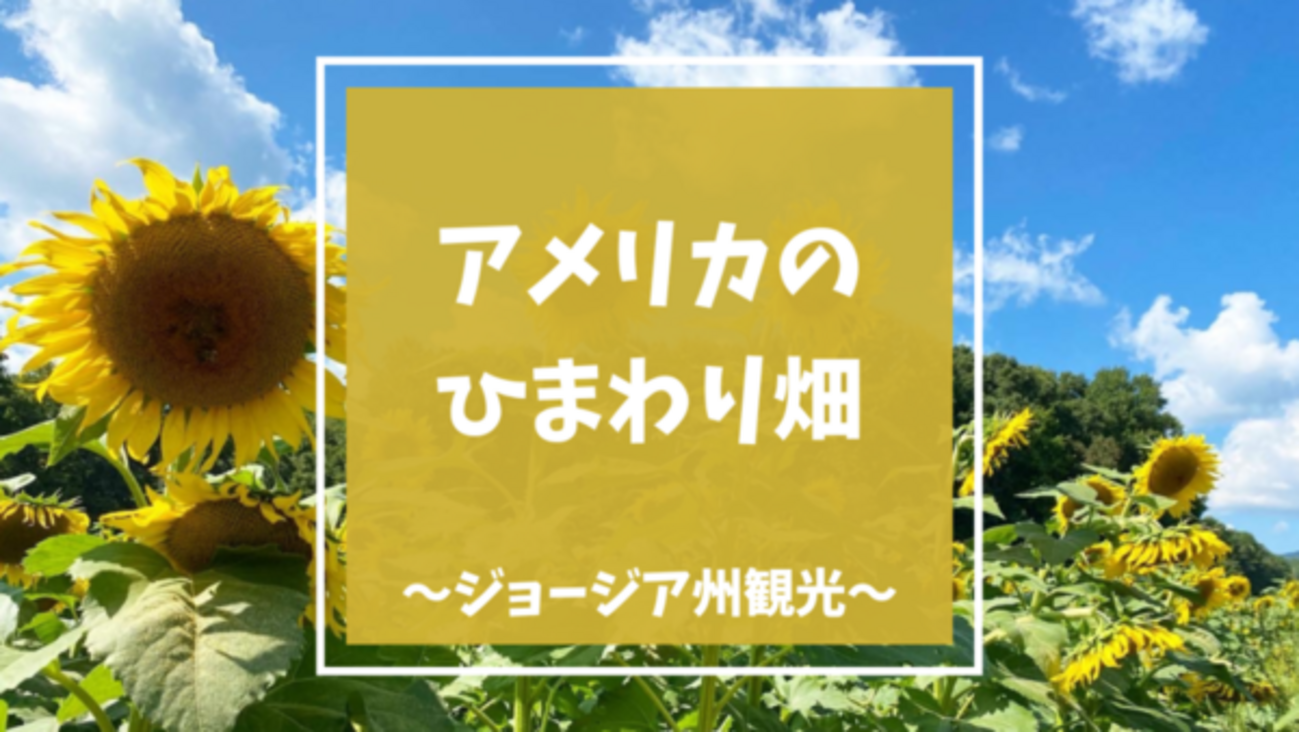 アメリカのひまわり畑（Sunflower fields）で癒される | ジョージア州