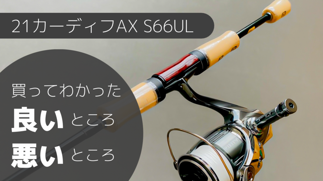21カーディフAX S66UL インプレ 買ってわかった良いところ・悪いところ 