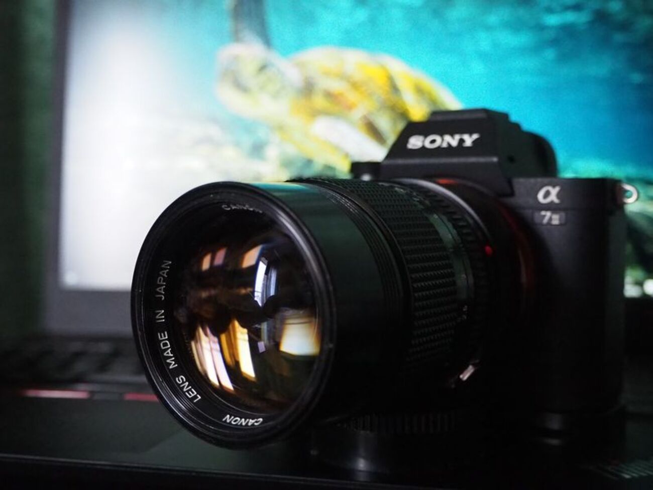 NewFD 135mm F2.8 - kiricub