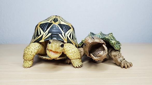 マスカリン諸島とは 地理の人気 最新記事を集めました はてな マスカリン諸島とは 地理の人気 最新記事を集めました はてな