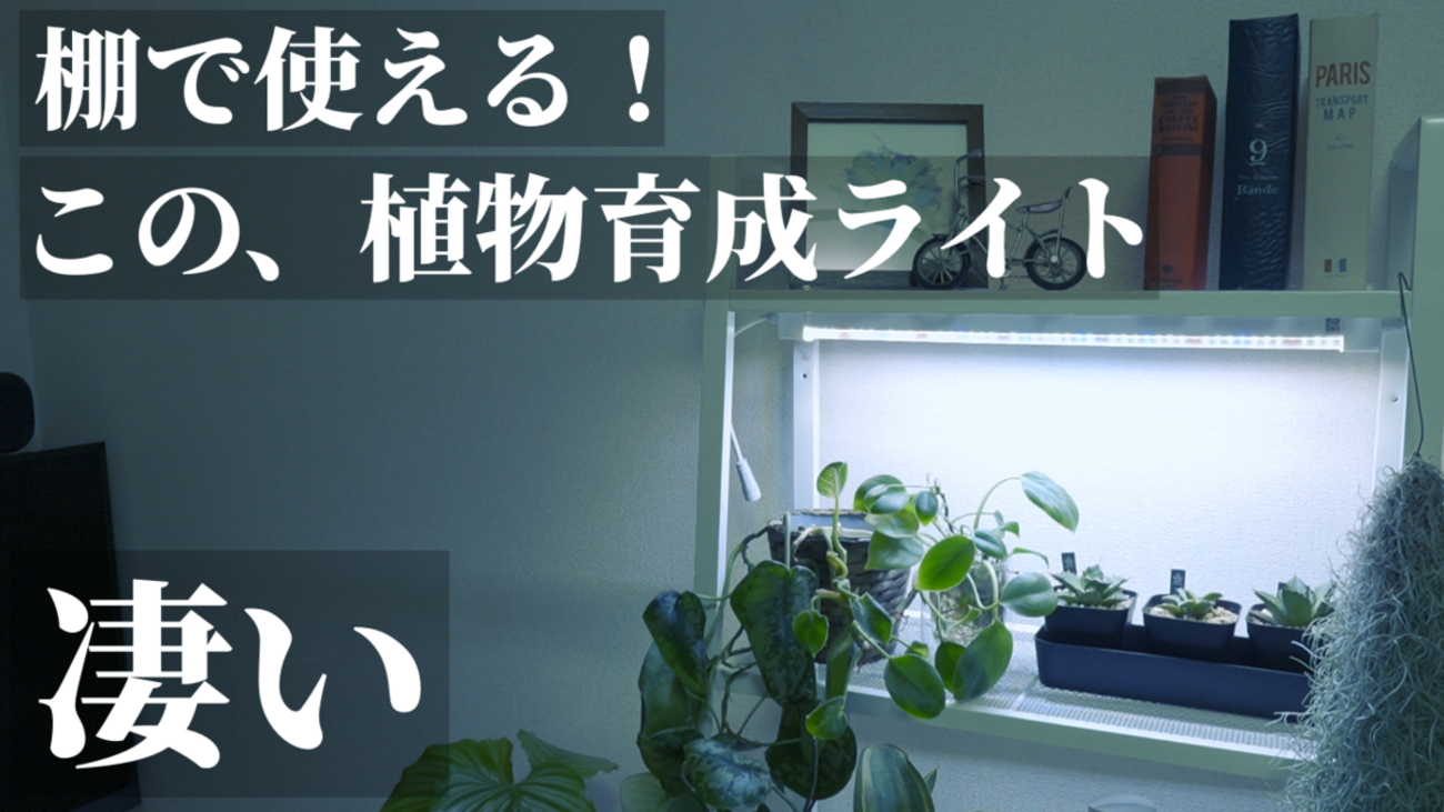おすすめ】バータイプの植物育成LEDライト「GL-T5 L530」レビュー！棚 