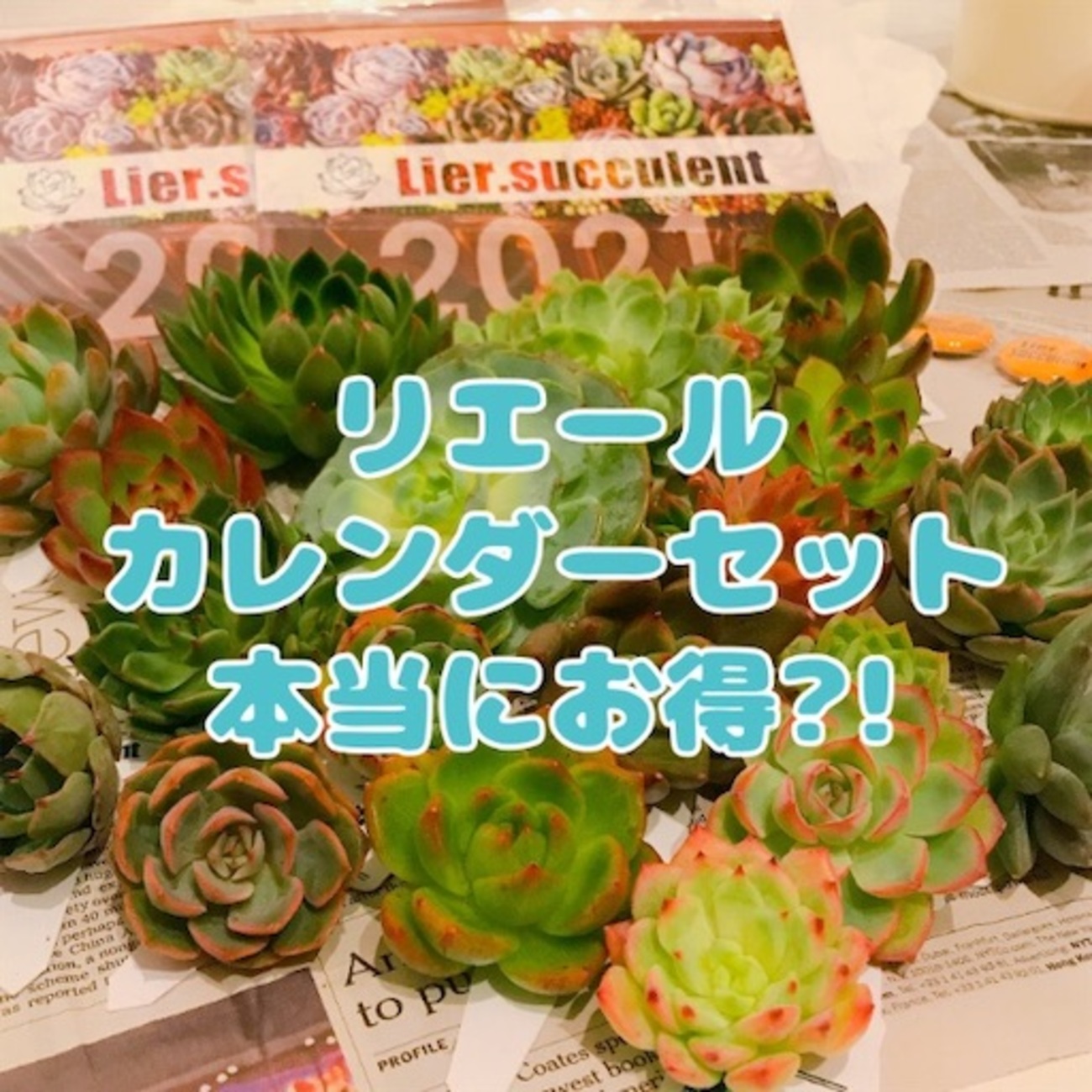 たにログ078 【検証してみた】リエールさんのセットは本当にお買い得 