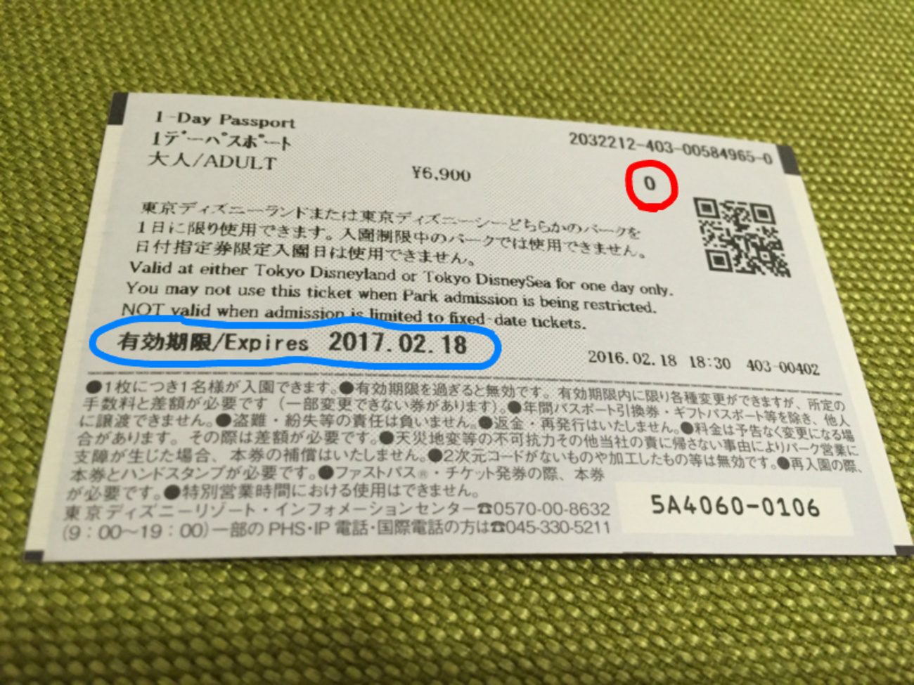 ディズニーペアチケット【日付指定可、有効期限あり】 ディズニーペアチケット【日付指定可、有効期限あり】