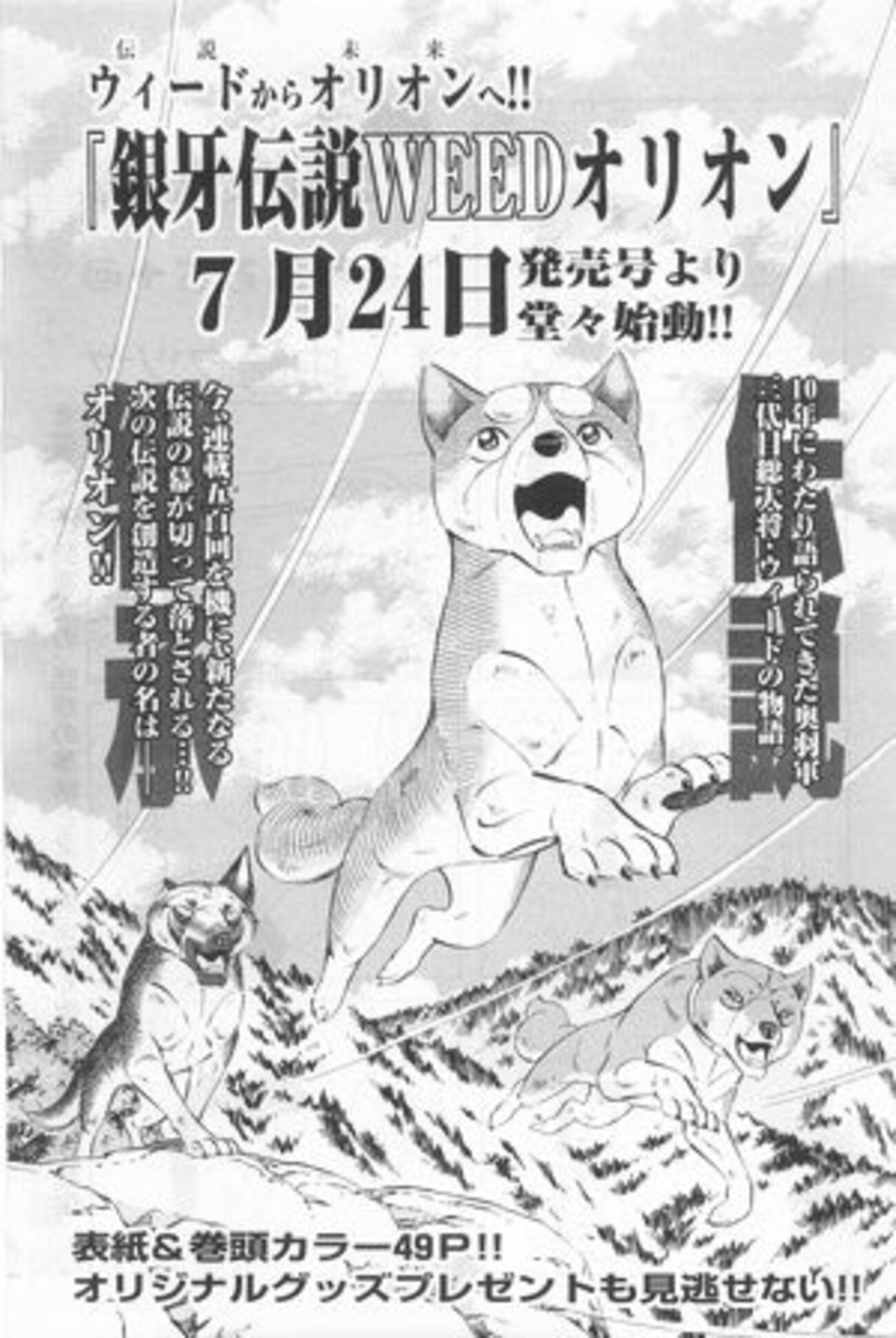 高橋よしひろ「銀牙」シリーズが、三代目突入決定。そして、漫画ゴラク 