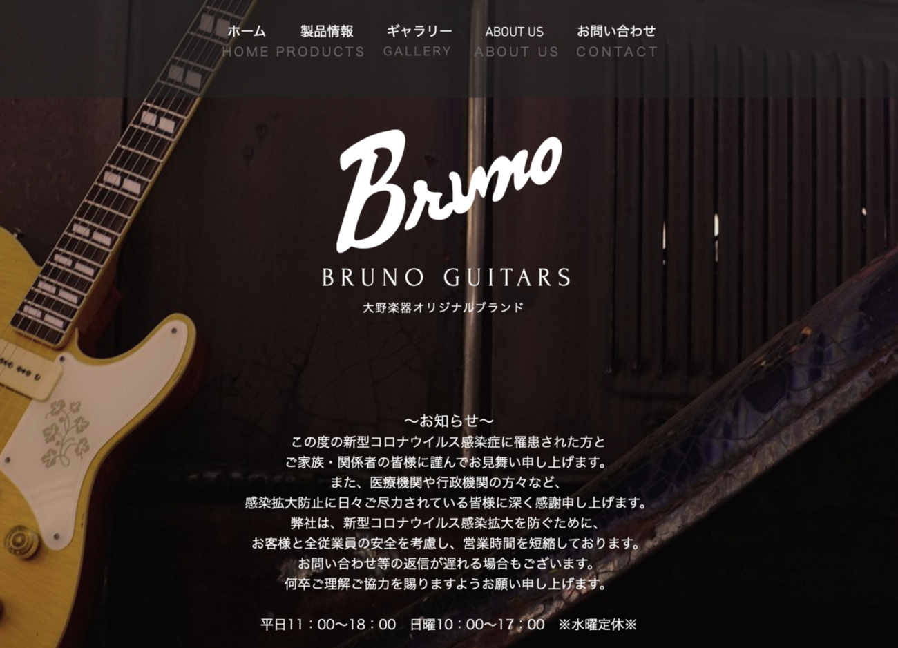 Bruno Guitars TN-295 Black ぽく 白花