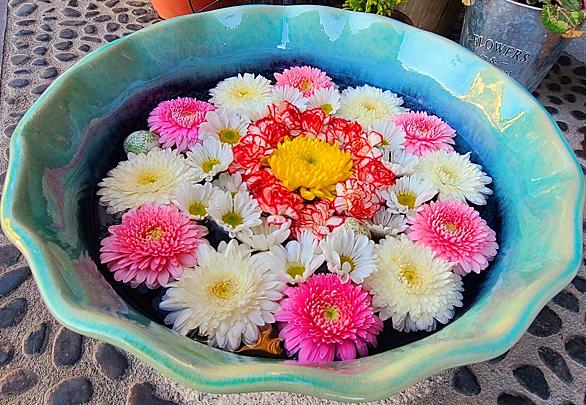 行田八幡神社とは 人気 最新記事を集めました はてな