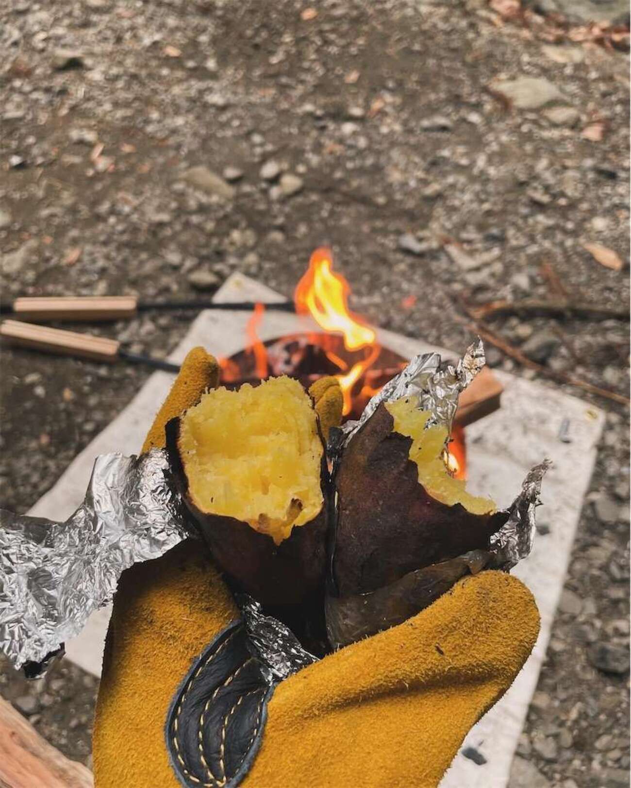 秋冬キャンプの醍醐味。焚き火で焼き芋を作ってみた - 釣り初心者の船