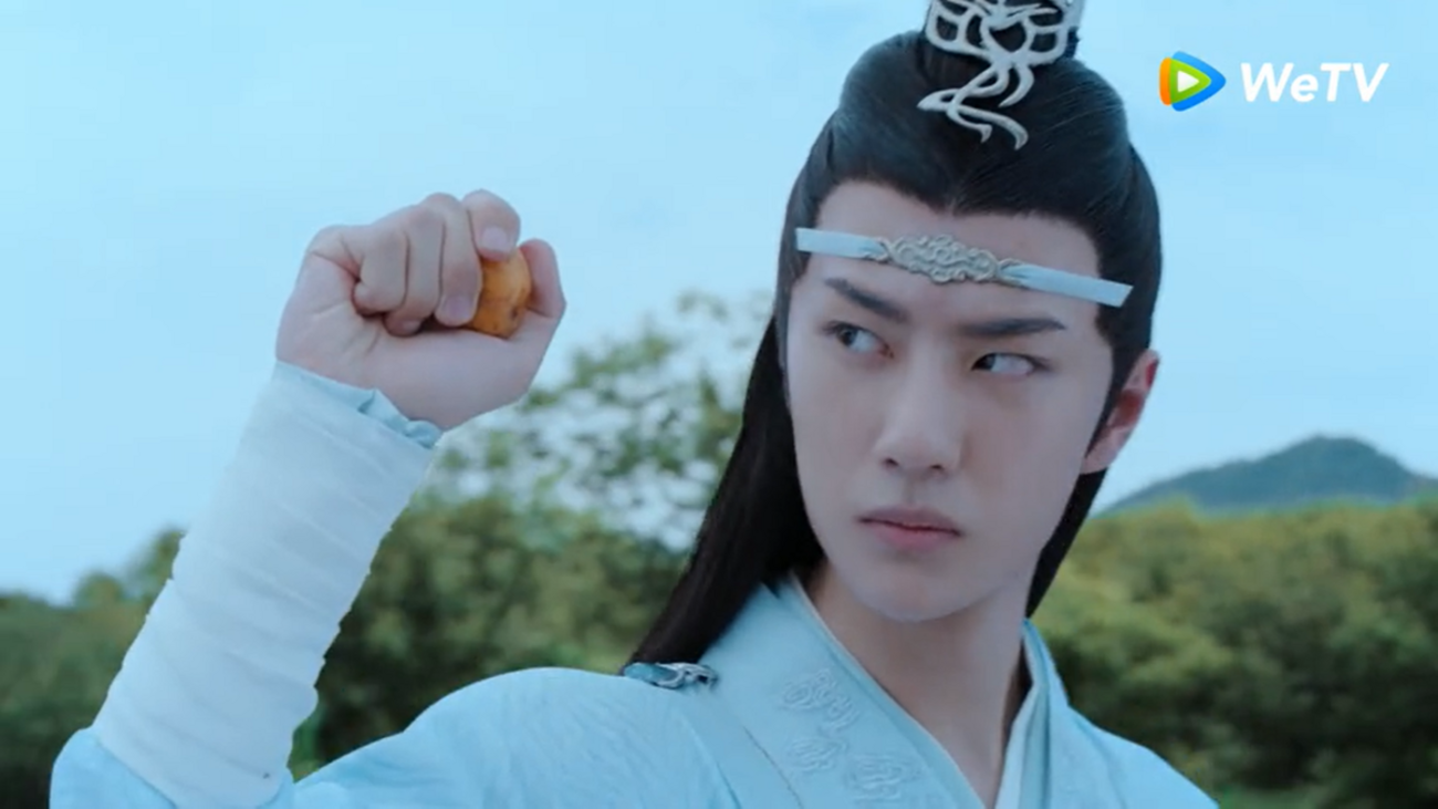 藍忘機にとっての魏無羨/陳情令魔道祖師87感想/忘羨枇杷が木から落ちる 