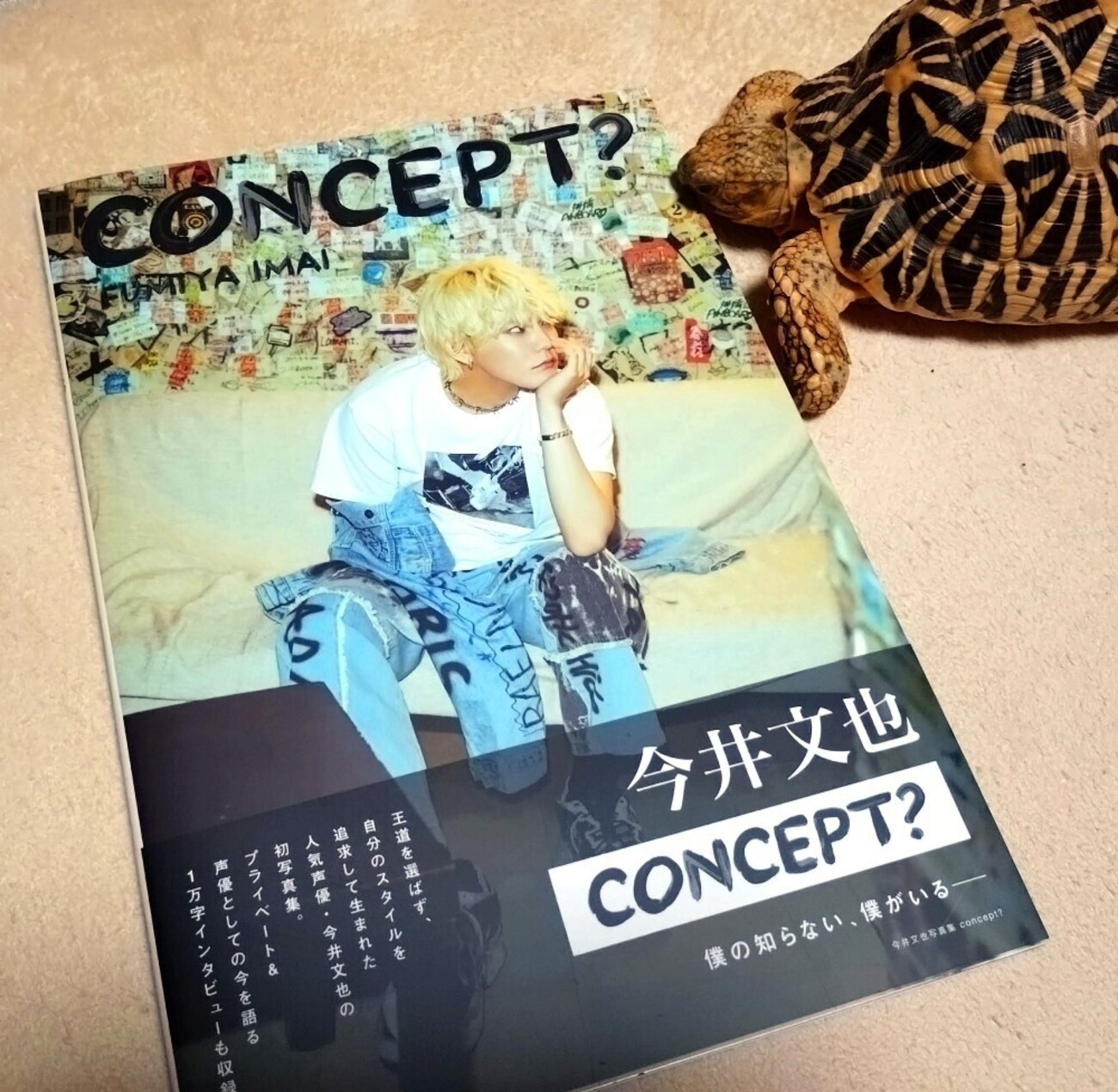 今井文也 写真集「concept？」 - 悪魔と天使と快楽主義者