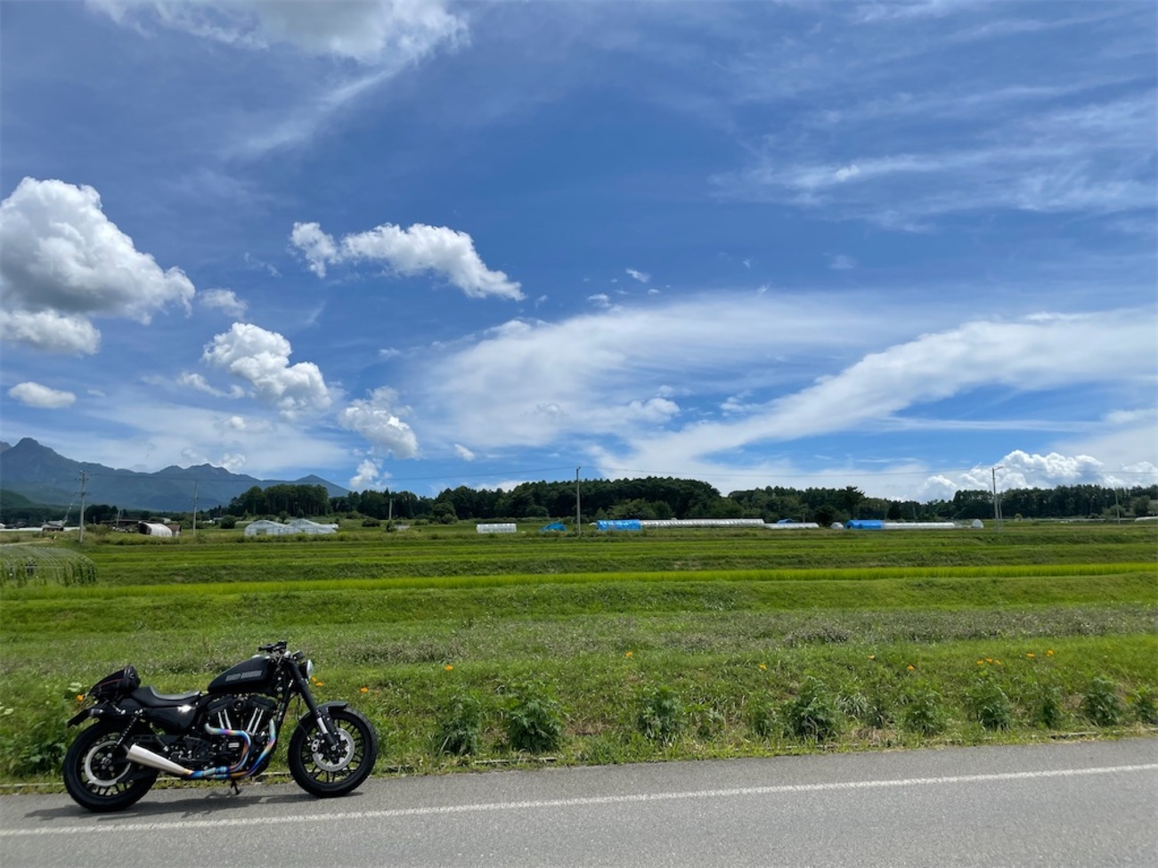 バトルクルーズ ブリジストン 19インチ 16インチ スポーツスター タイヤ Webike | BRIDGESTONE ブリヂストン BATTLECRUISE H50【180／70 B16 M