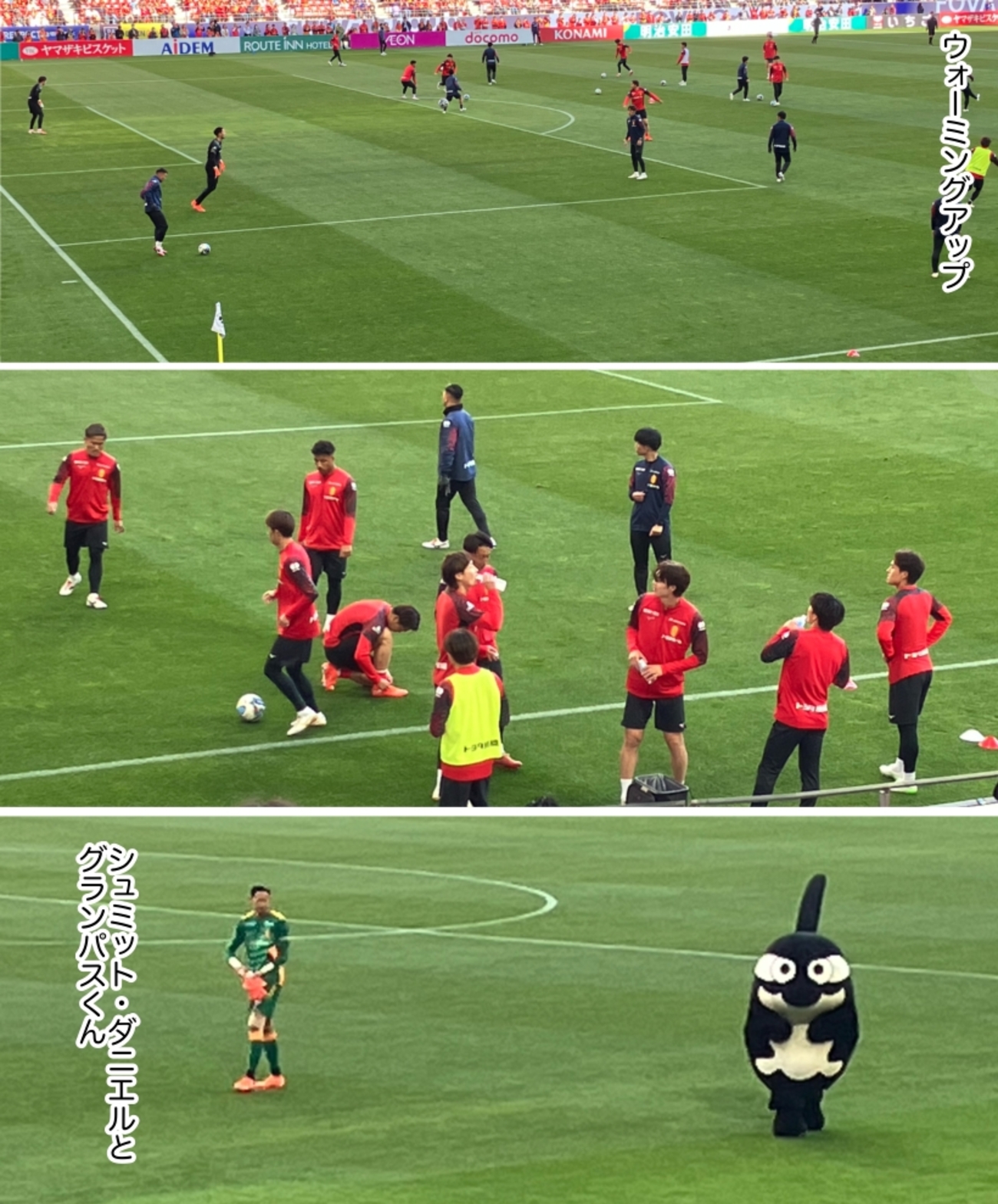 J1リーグ西地区：名古屋グランパスvsV・ファーレン長崎 - momon stadium