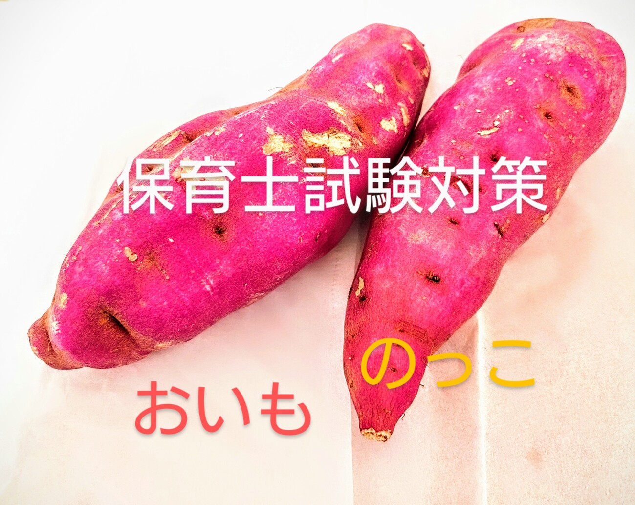 保育士試験対策(「保育所保育指針」の重要事項～その1～) - 保育士試験 