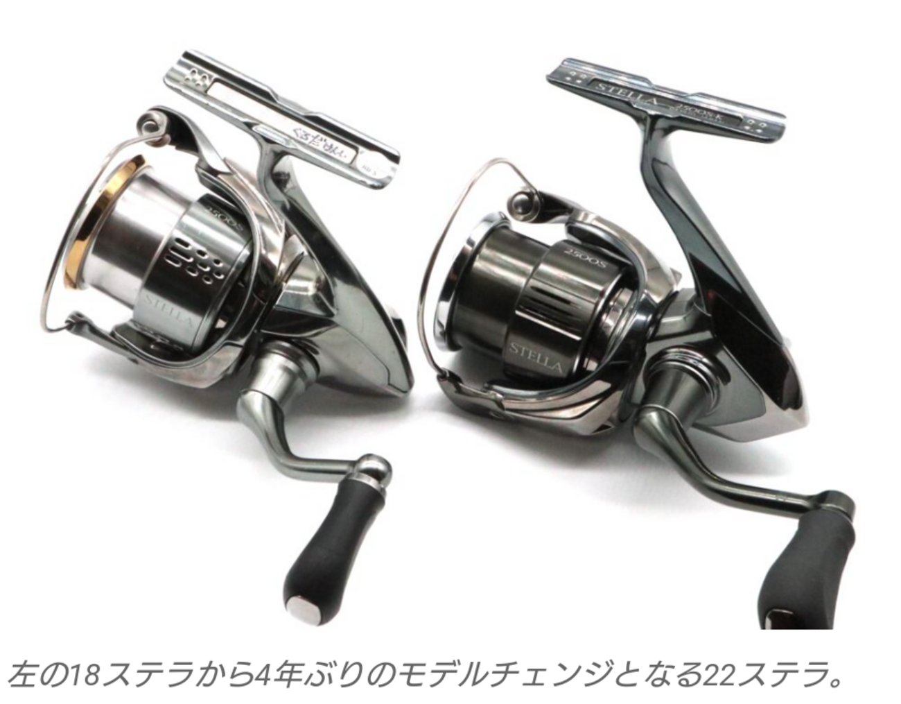 売れるまで毎日値下げ☆22ステラ 2500shg 訳あり商品（22ステラを買う 
