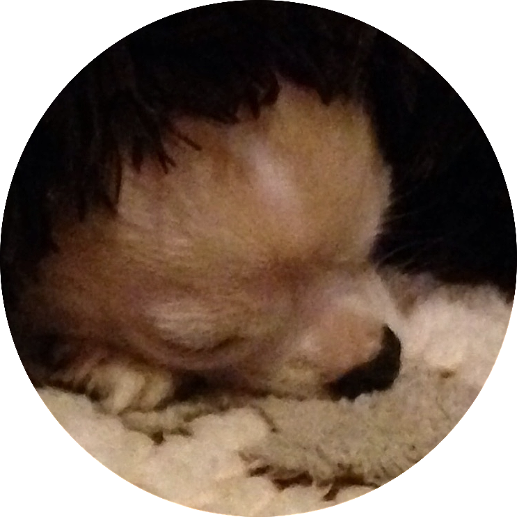 Bit カテゴリーの記事一覧 くろたんく雑記帳