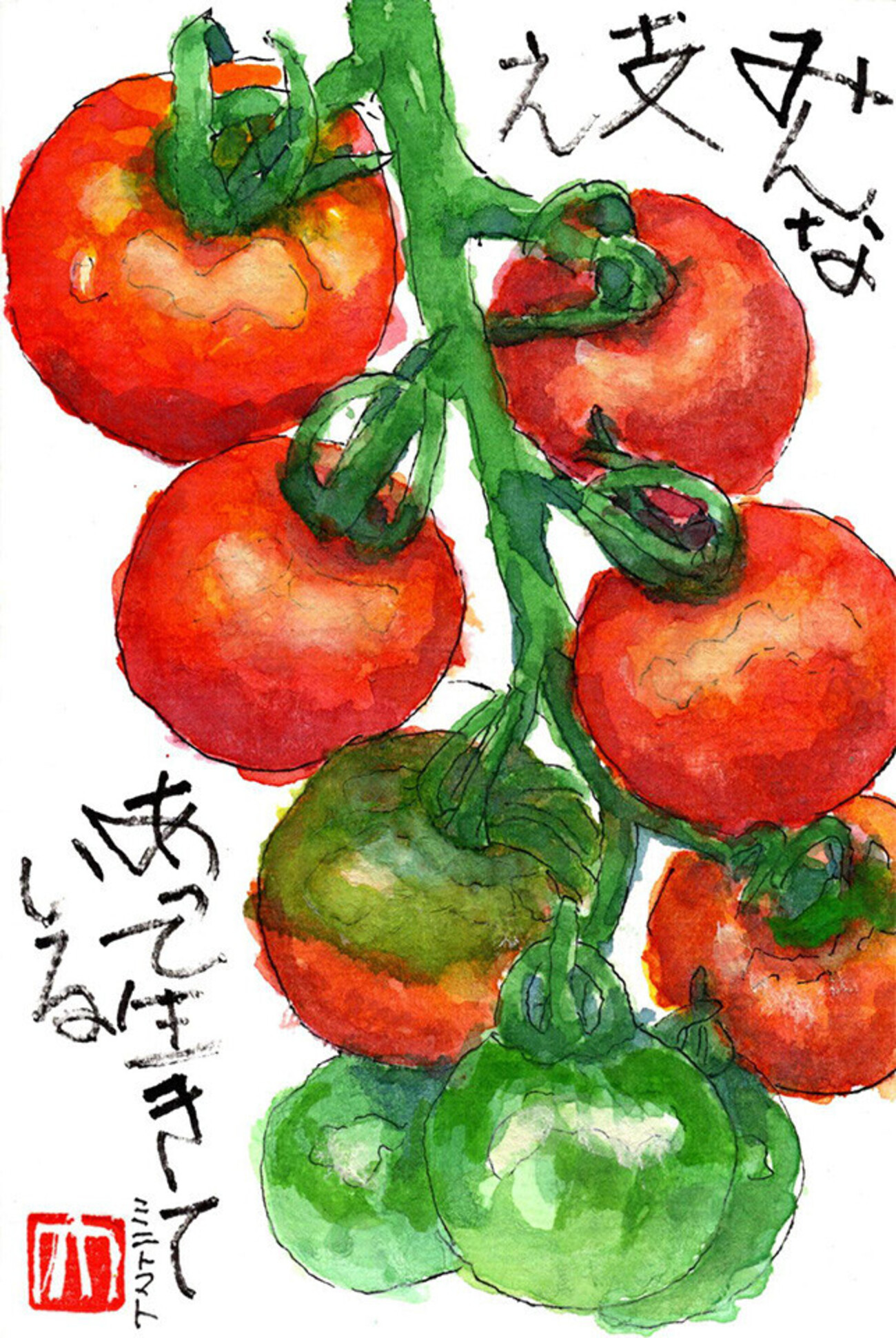 西東京の植物絵手紙（58）…西東京市泉町でミニトマトに出会った
