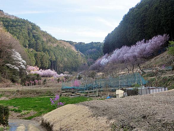 桃源郷とは 一般の人気 最新記事を集めました はてな