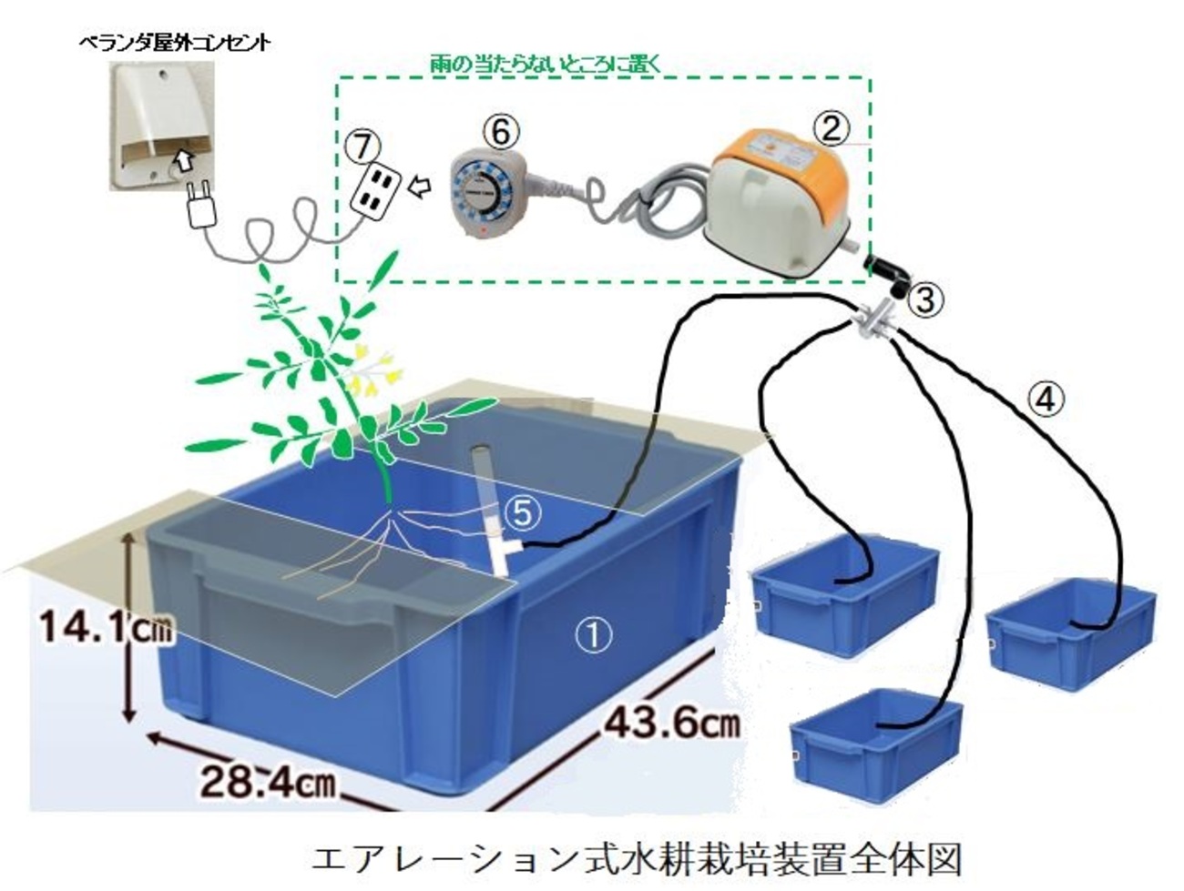 ベランダ水耕栽培⑫ 水耕栽培装置の初期費用と作り方について 
