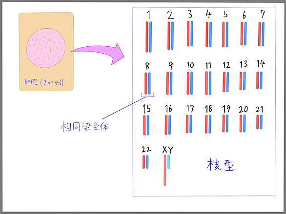 生活環とは サイエンスの人気 最新記事を集めました はてな