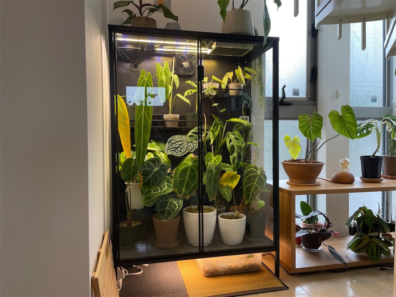 Ikea キャビネット ikea ルードスタ 白 イケア IKEA RUDSTA ルードスタ 