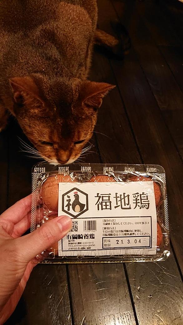 ひよこミキサーとは ウェブの人気 最新記事を集めました はてな ひよこミキサーとは ウェブの人気 最新記事を集めました はてな