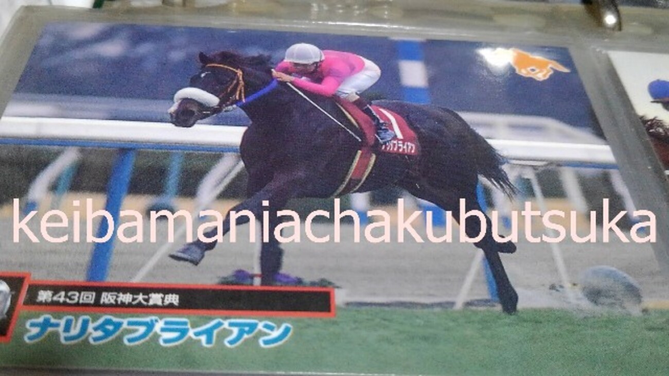 ナリタブライアン　阪神大賞典　単勝馬券 2025年最新】単勝馬券ナリタブライアンの人気アイテム - メルカリ