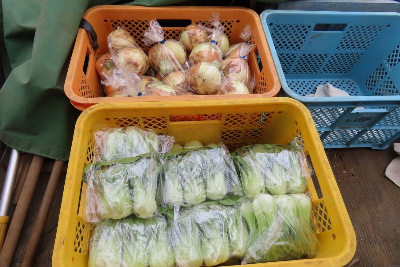 指定野菜と特定野菜 - GAMAの菜園＆フォト日誌