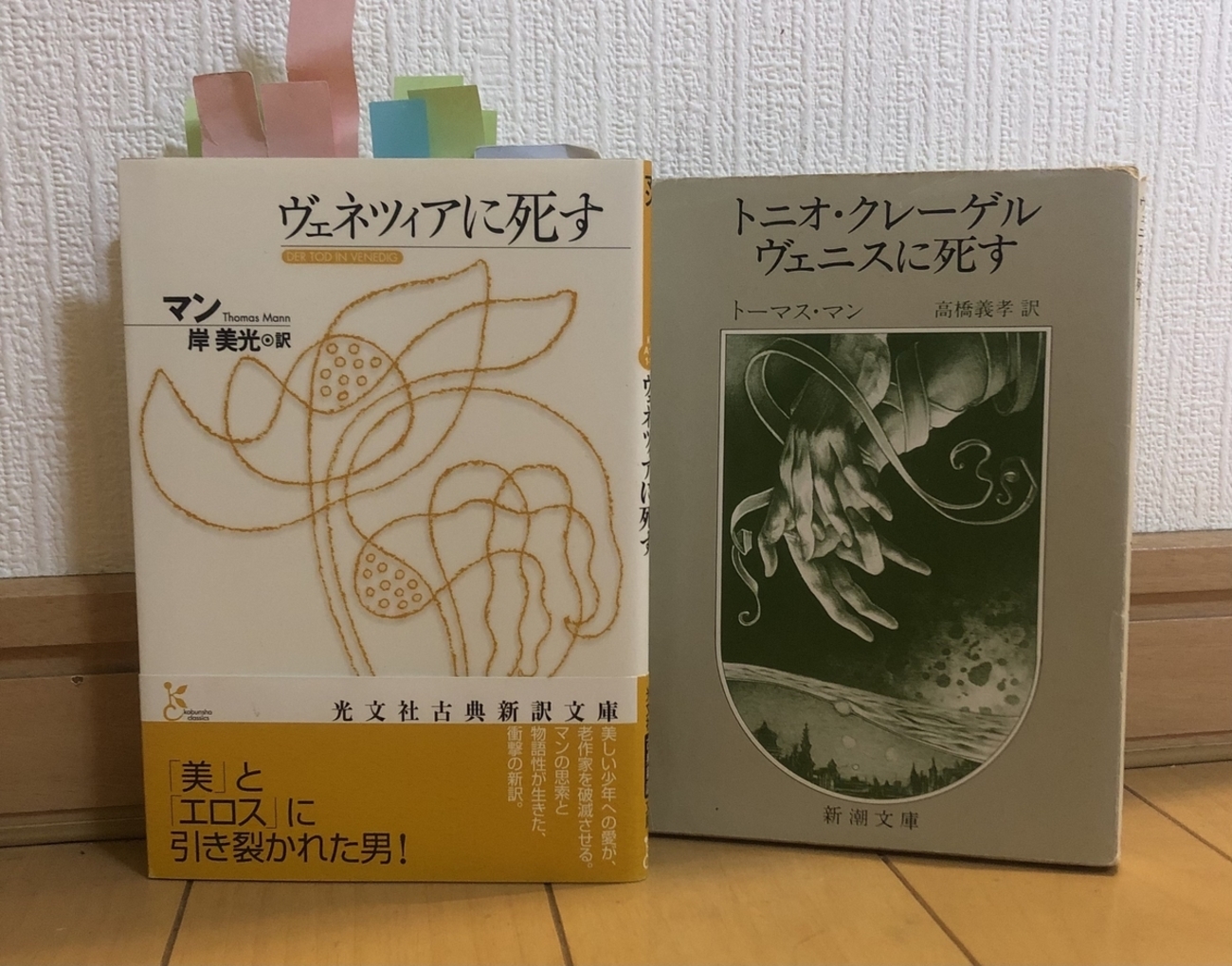 第33回・飯田橋読書会の記録：『ヴェニスに死す』（トーマス・マン著 
