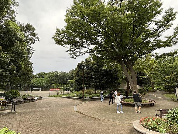 谷澤達也とは スポーツの人気 最新記事を集めました はてな