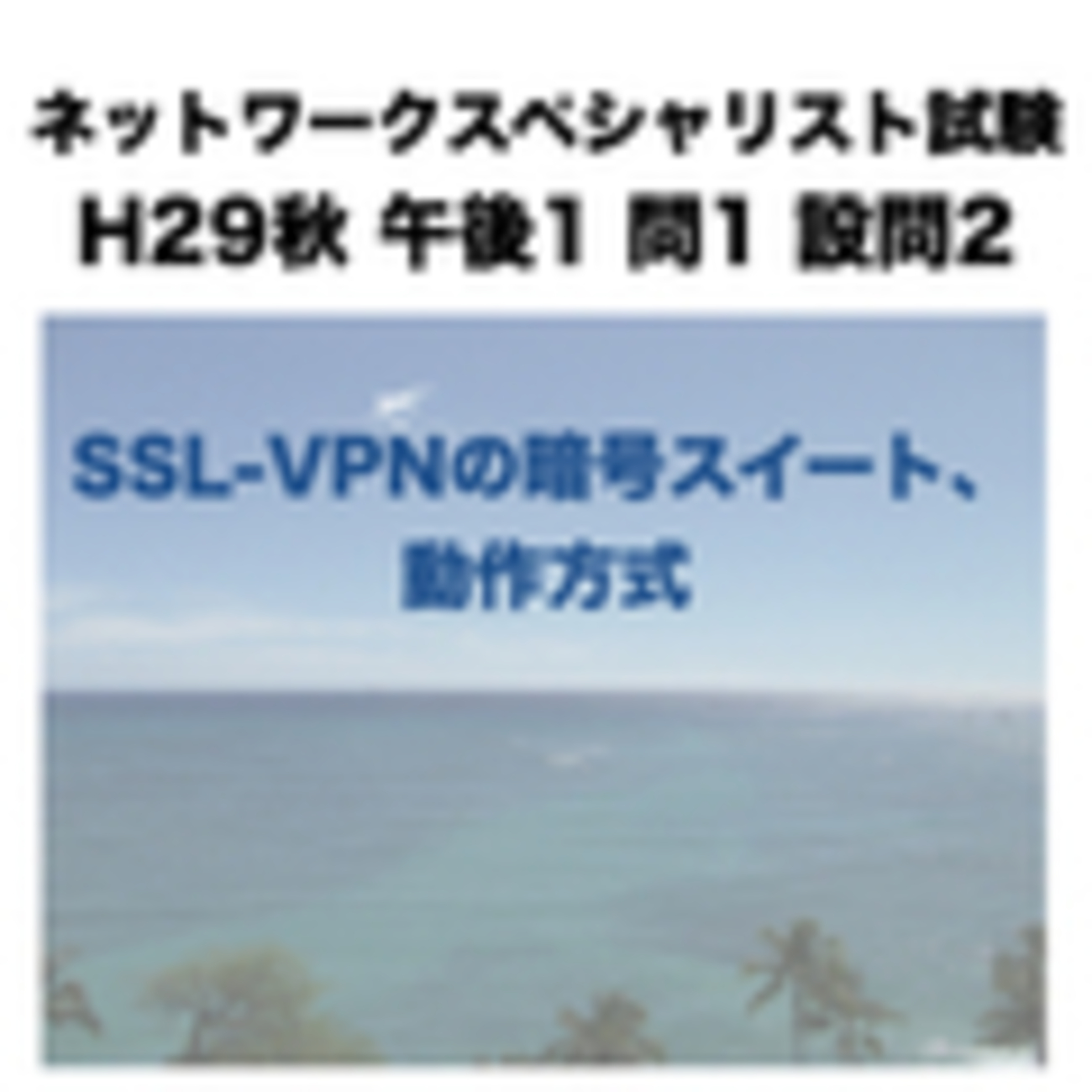 SSL-VPNの暗号スイート、動作方式【ネットワークスペシャリスト試験 平成29年度 秋期 午後1 問1 設問2】 -  やさしいネットワークとセキュリティ