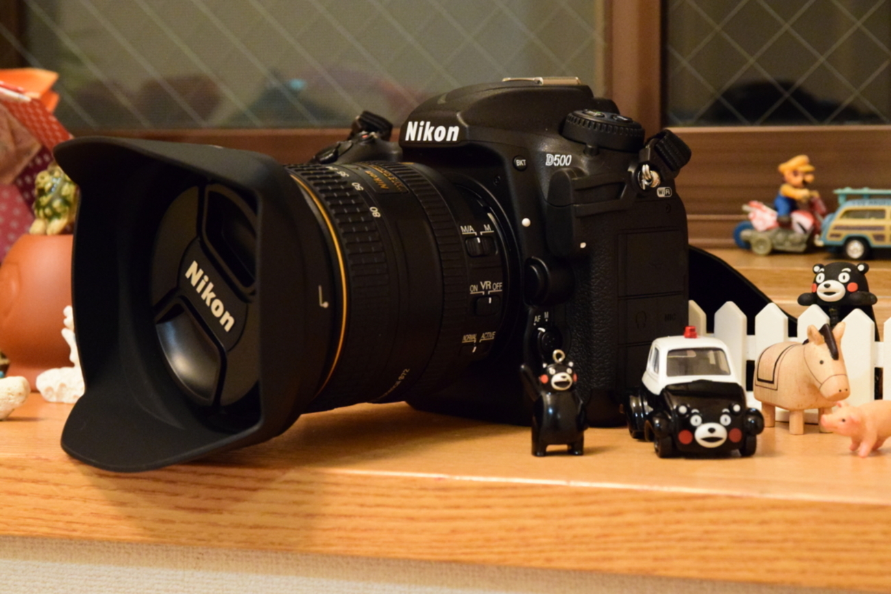 Nikon D500レンズキットを購入した理由 - Kumamon