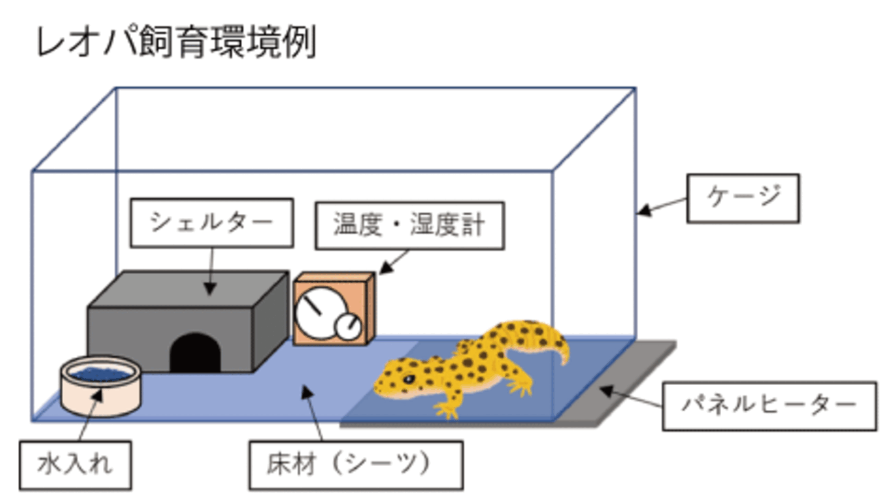飼育機材と温度管理 - Cuddly geckosのレオパ飼育記録