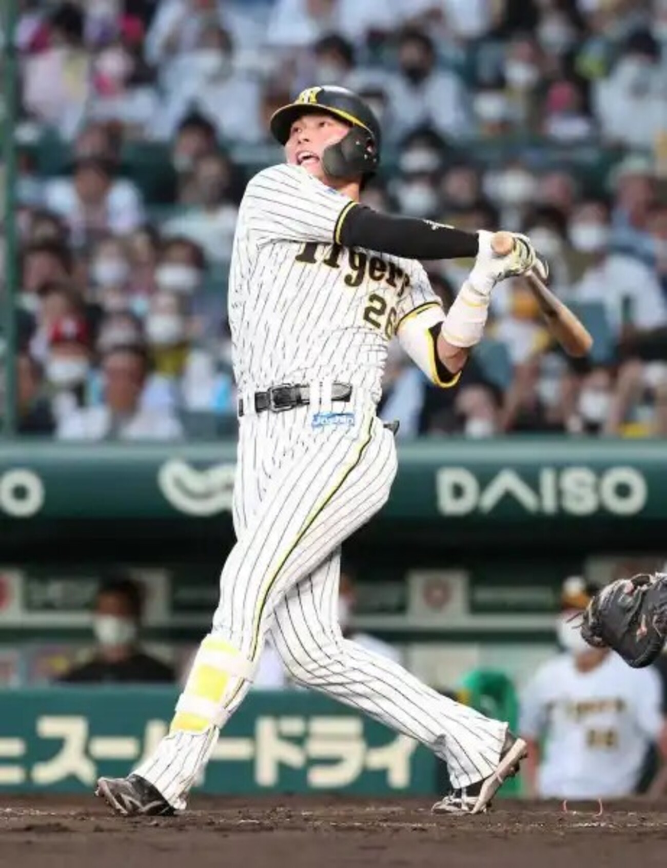 【M12】ダイナマイト打線2017年 元阪神タイガース　北條史也選手 Lサイズ 金属ならいいが木製で同じ打ち方は…」阪神・北條史也にベテラン
