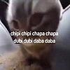 Chipi Chipi (DRILL REMIX)
