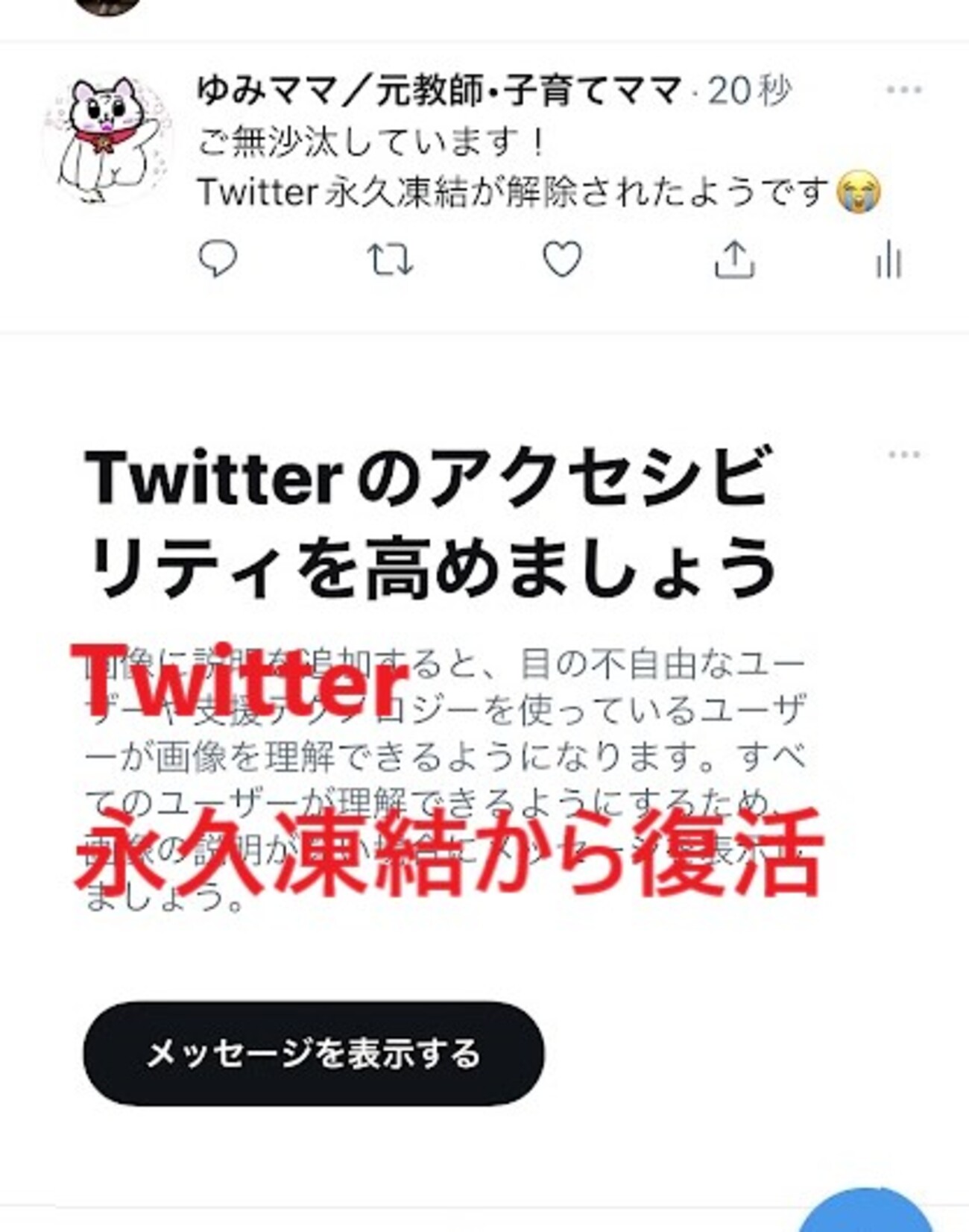 X（旧Twitter） 永久凍結解除 29日目に身に覚えのない凍結から復活【凍結祭り】 - マヨ決めGO！｜教師ママの子育て「決める力」ラボ