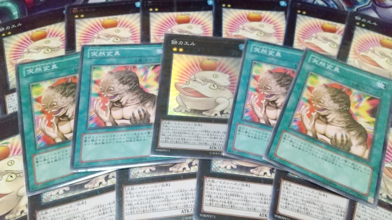 ナイトメア・アイズ・サクリファイス】 - ギルド屋さん