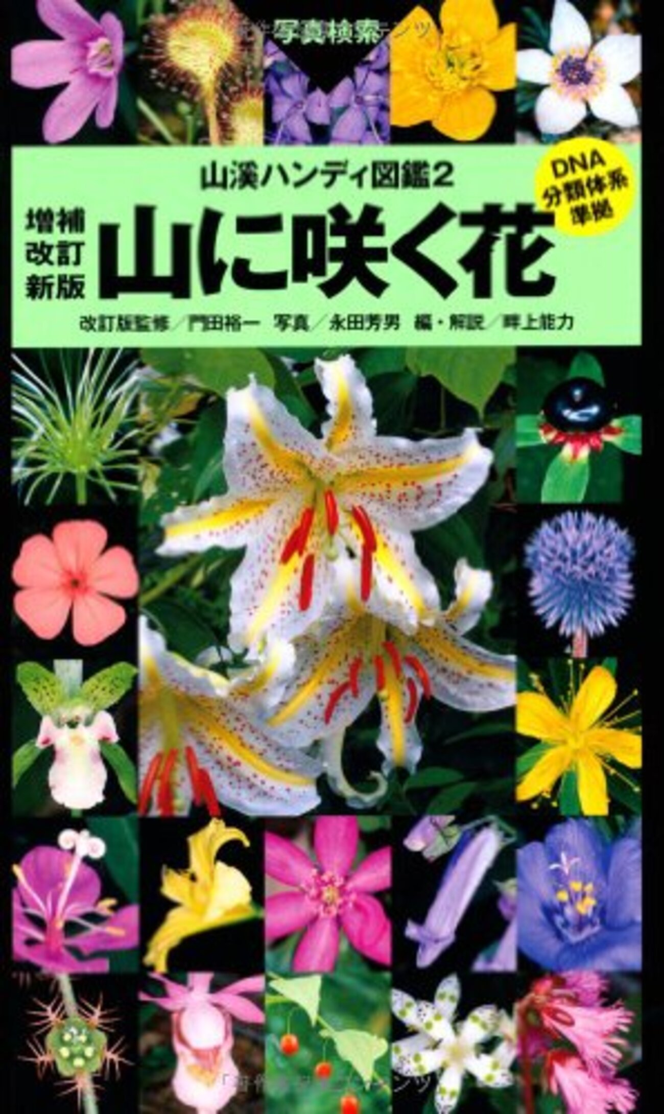 保証書付き：武井渓月「四季の花」 山渓ハンディ図鑑、山に咲く花のレビュー。山地の花を知りたいなら
