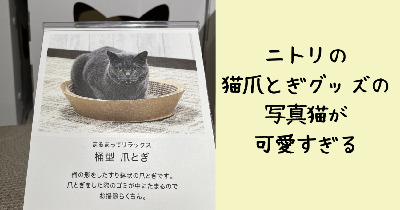 backend=imagemagick;version=1;