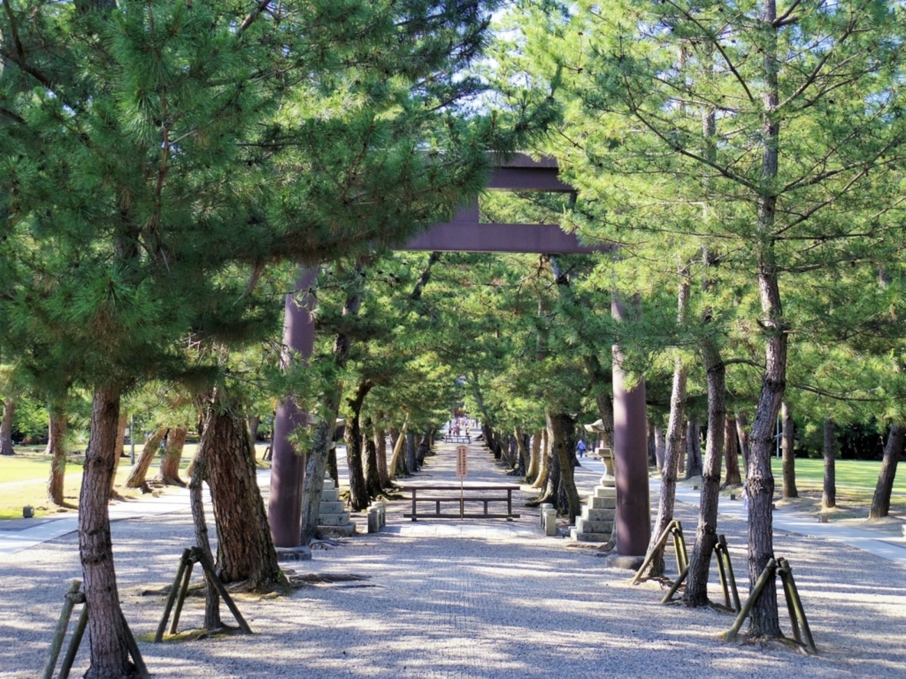 出雲大社周辺のお店は閉まるのが早い…大しめ縄に10円玉は投げてはいけなかった - 世界ふくねこ歩き～猫と旅と食が好きな人のブログ～