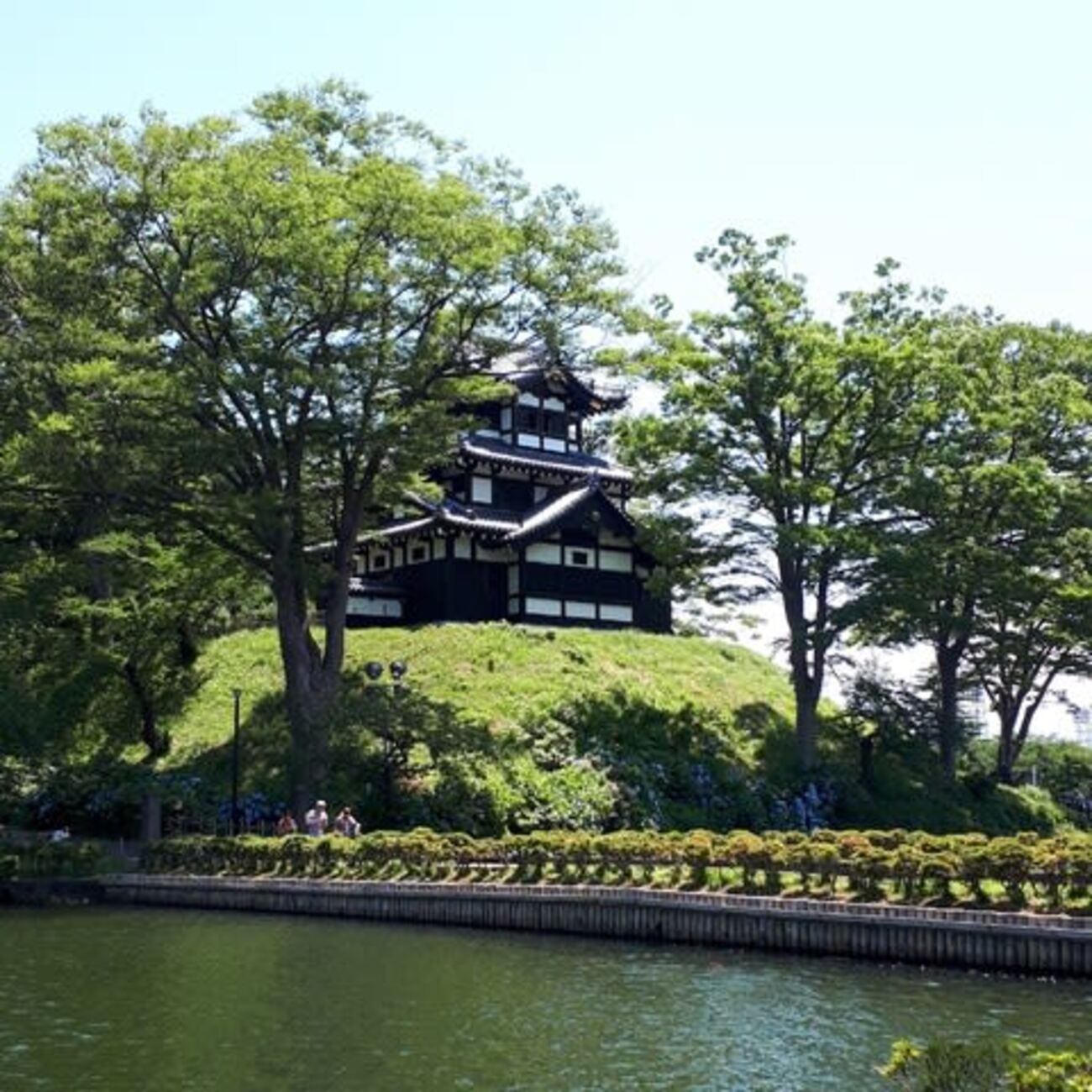 高田城址公園のハス - 夢夢散歩♪